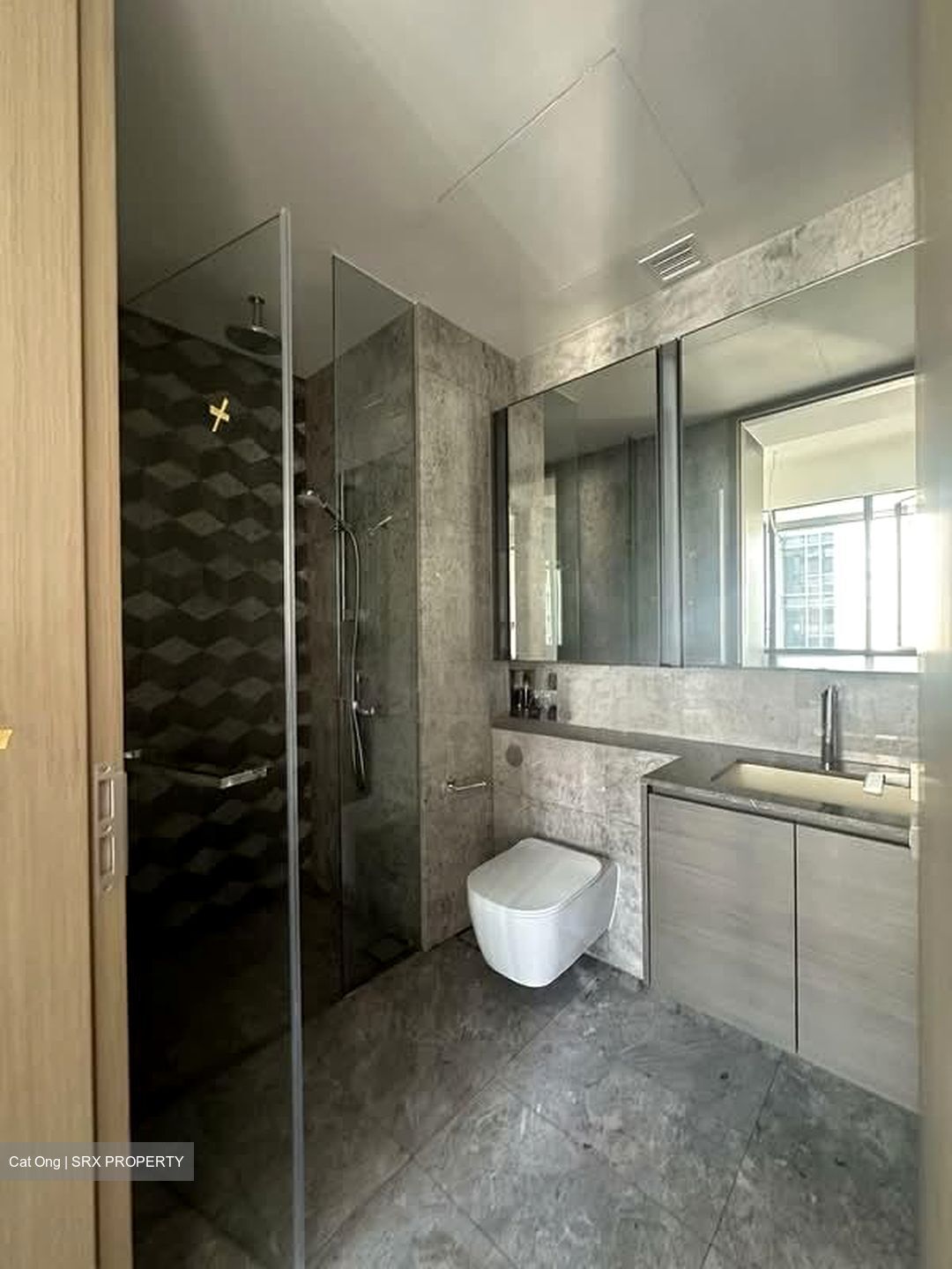 Leedon Green (D10), Condominium #535426811